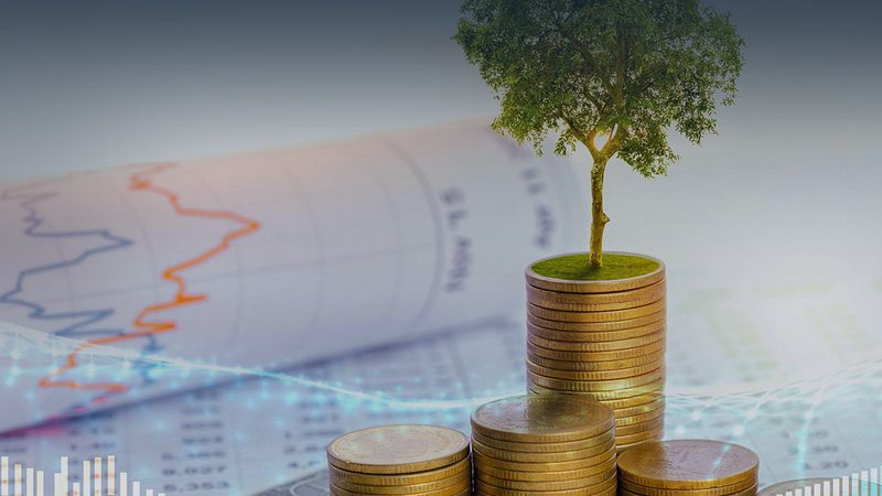 薪酬绩效咨询与人力资源咨询：本质区别与选择要点